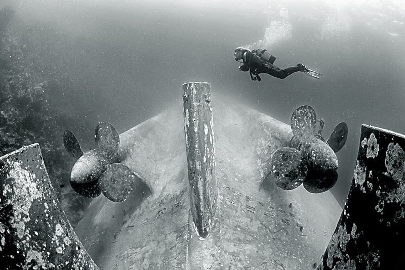 ���������