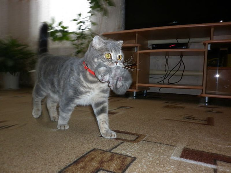 ���������