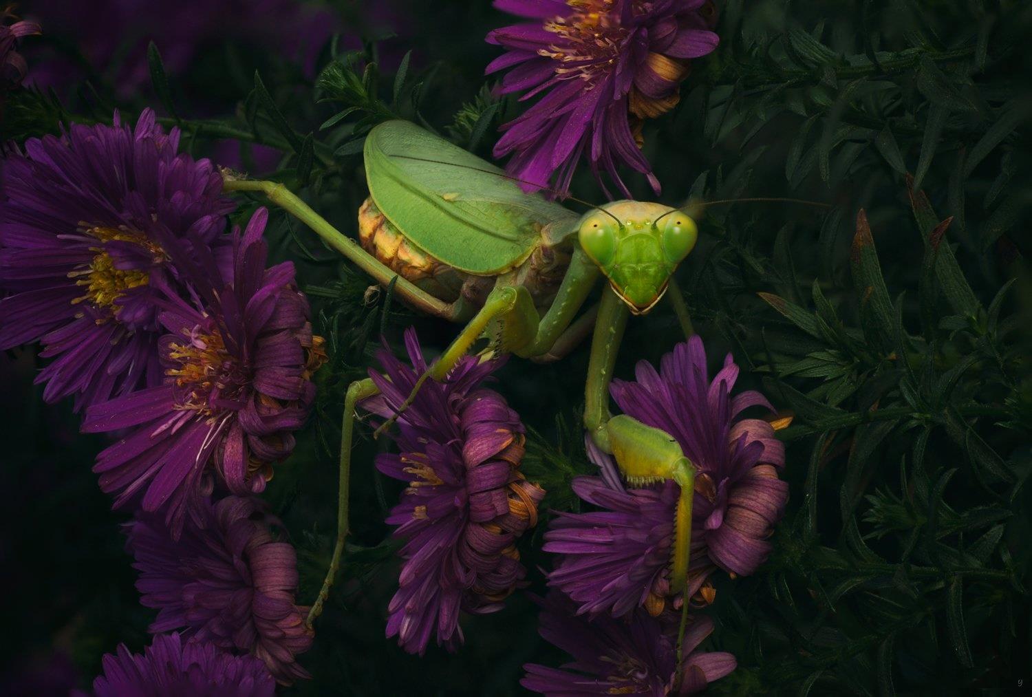 ���������