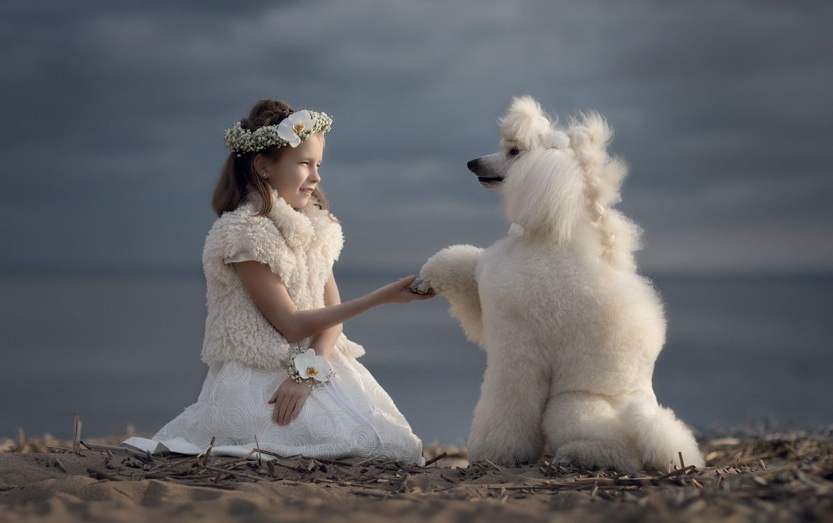 ���������