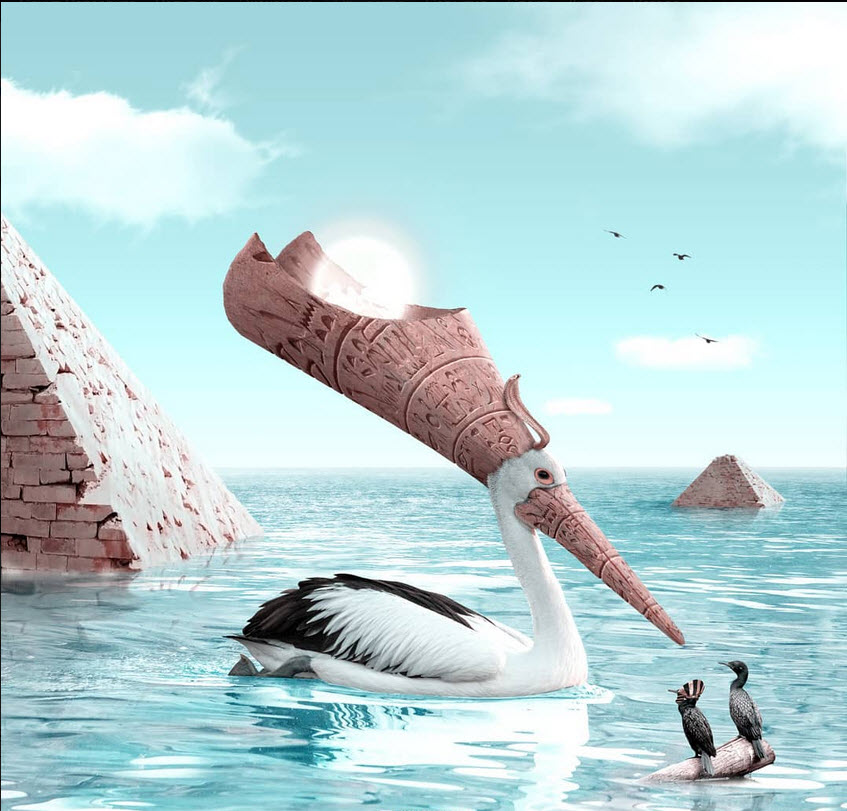 ���������