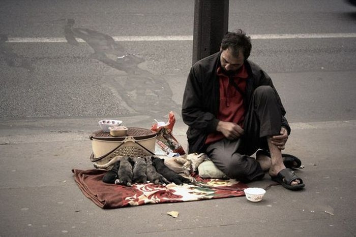 ���������