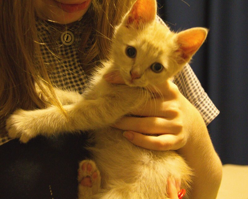 ���������