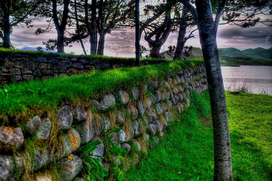 ���������