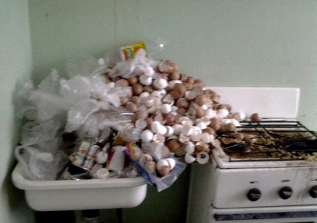 ���������