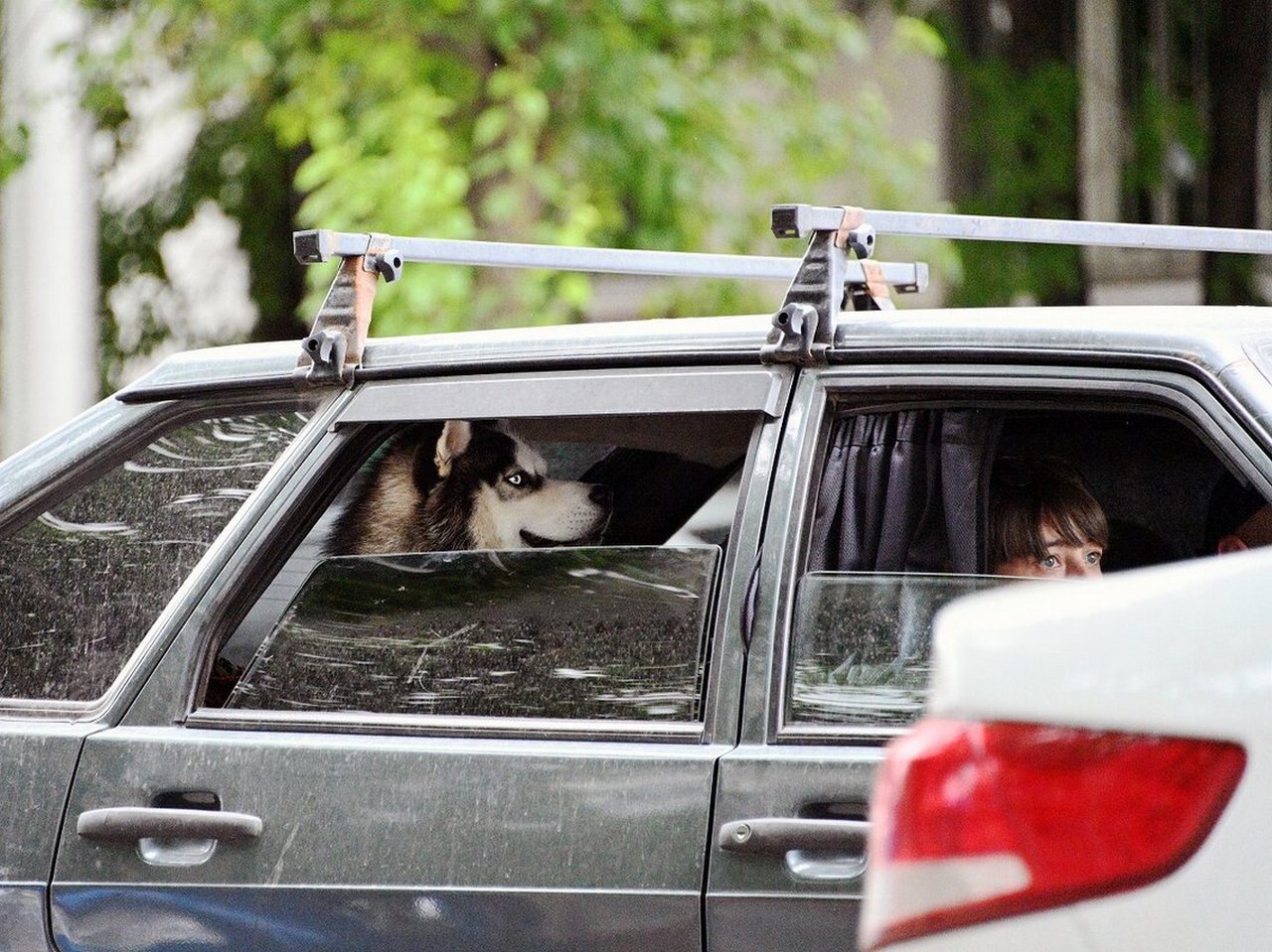 ���������