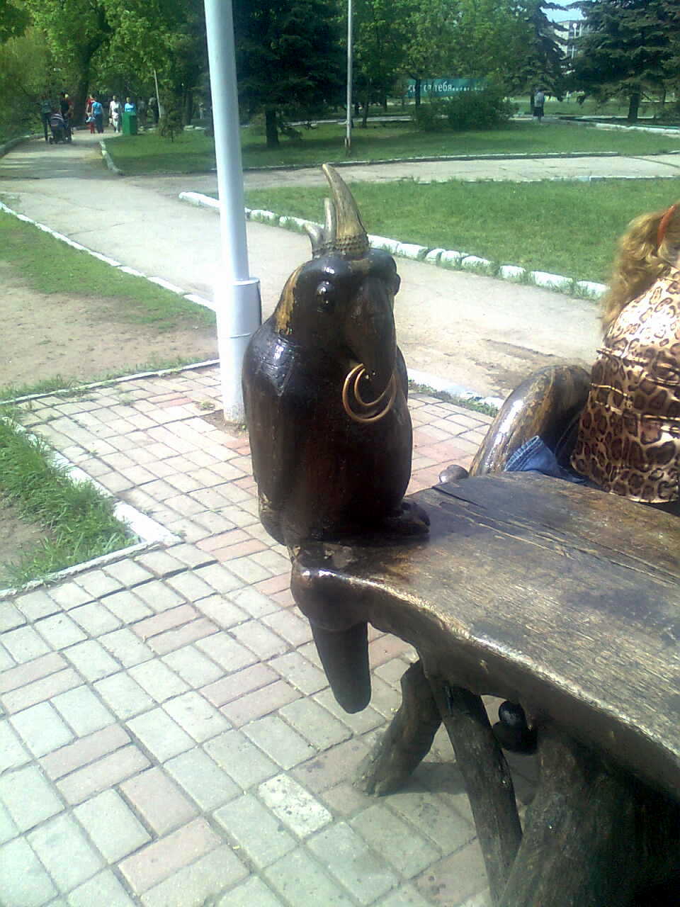 ���������