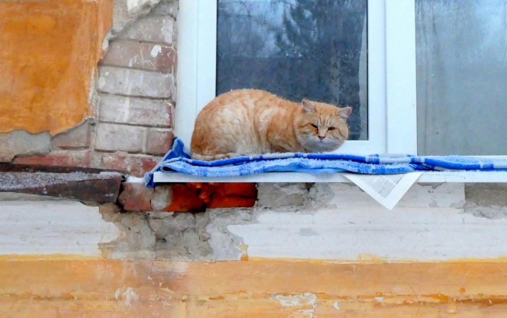 ���������