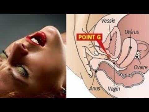Увеличить Увеличить