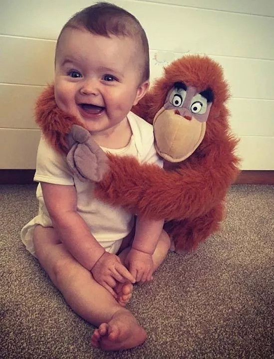 ���������