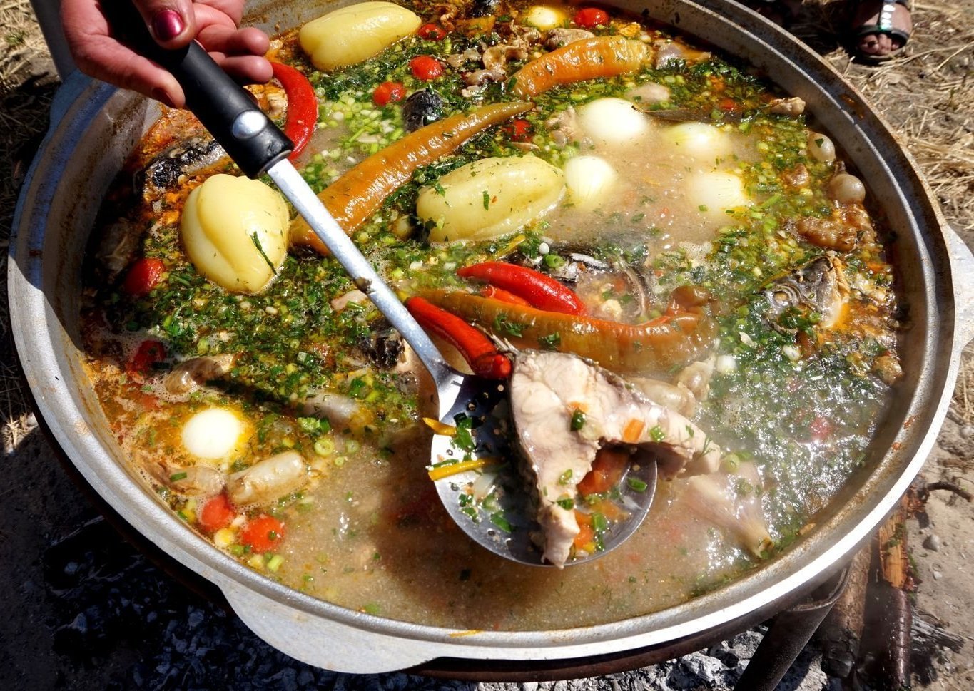 ���������