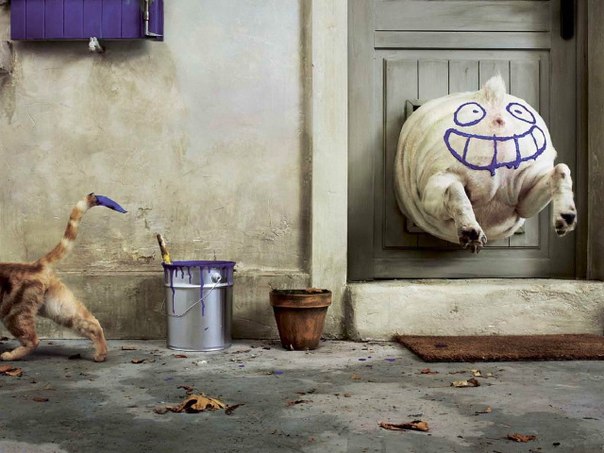 ���������