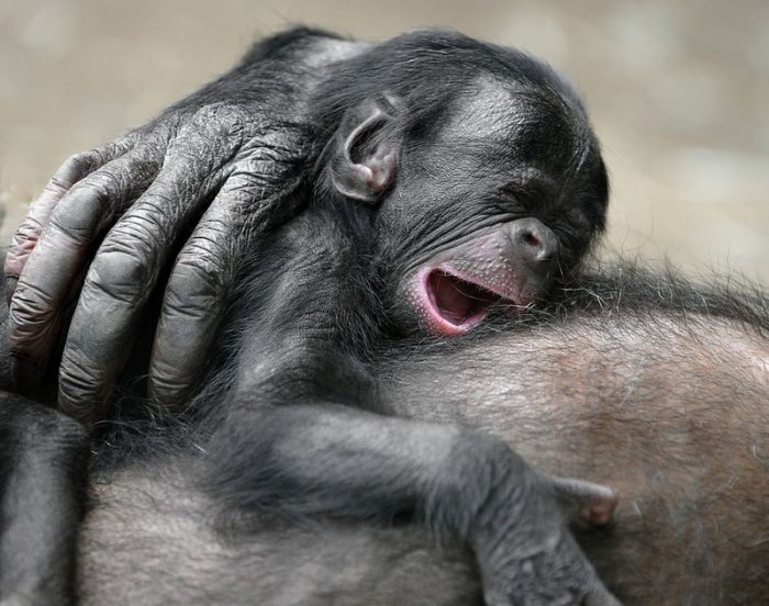 ���������