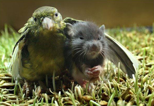 ���������