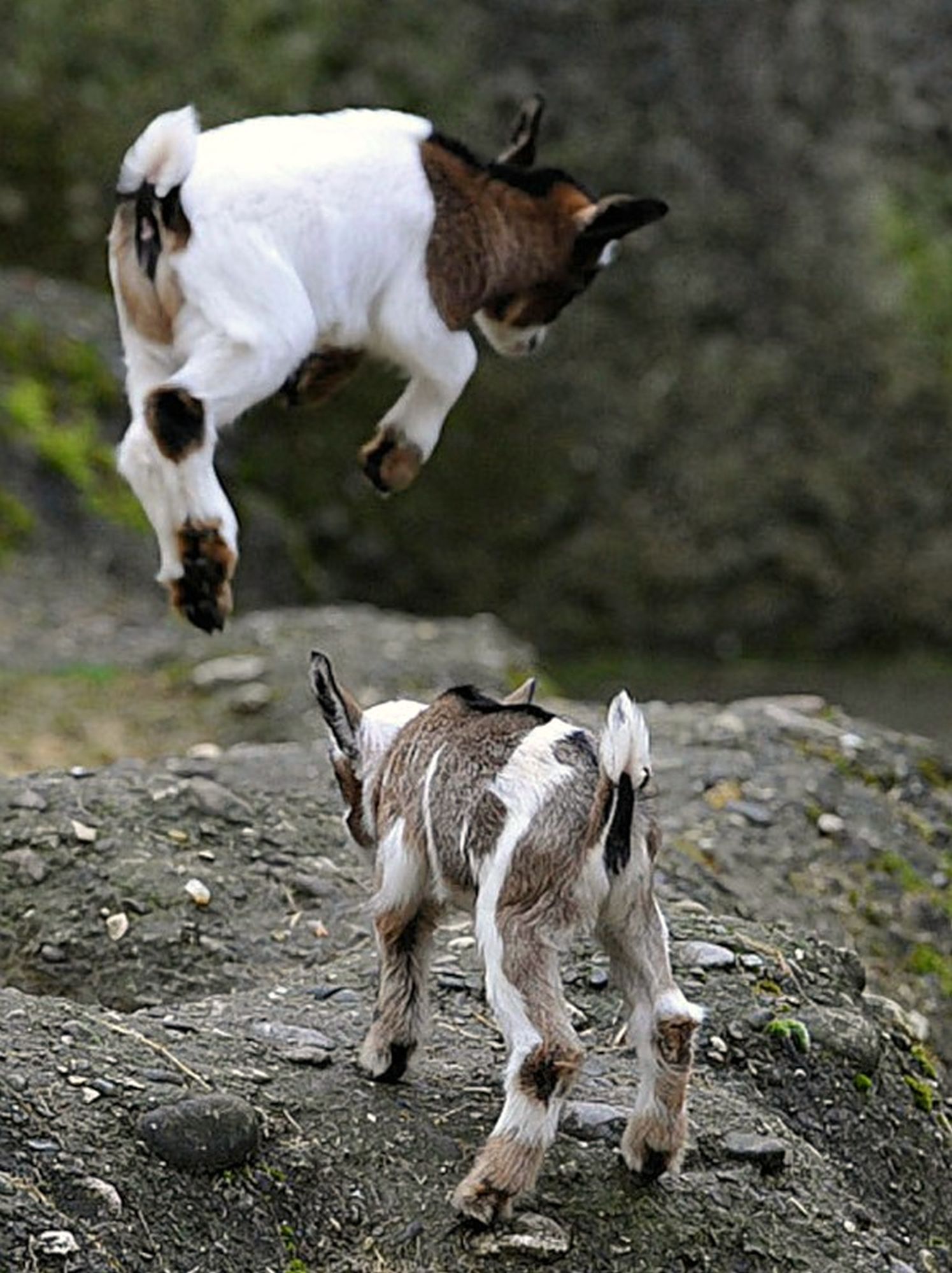 ���������