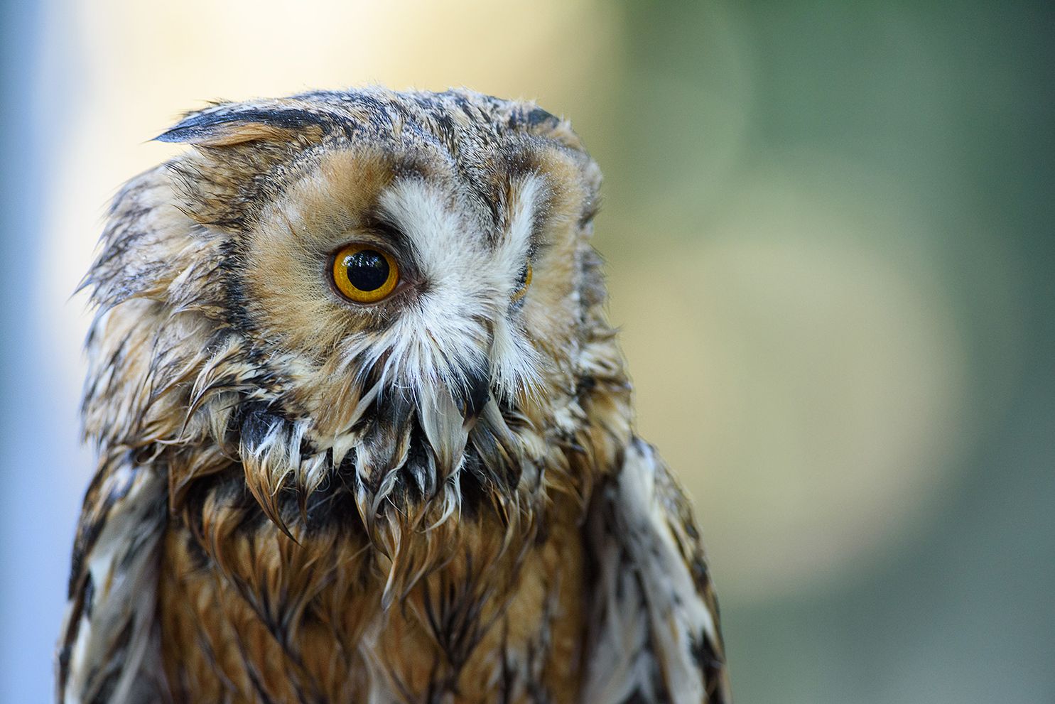 ���������