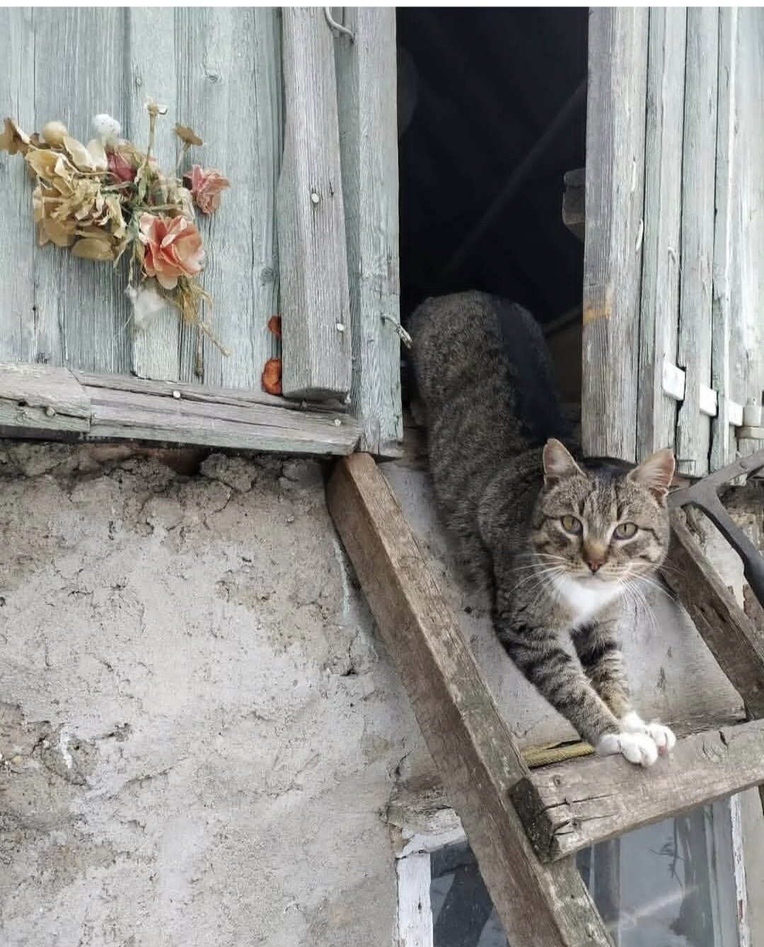 ���������