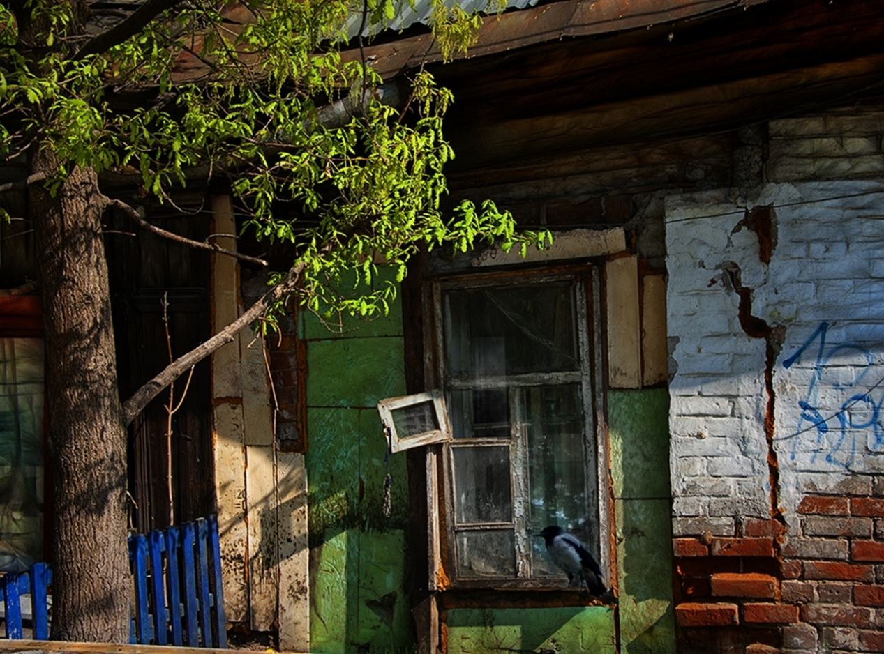 ���������