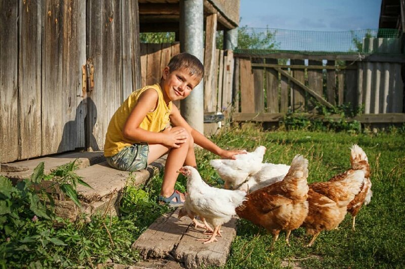 ���������