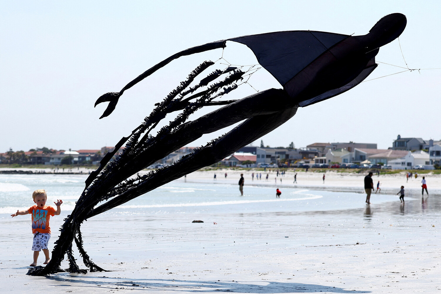 ���������