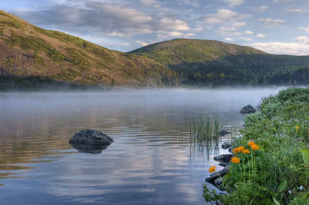 ���������