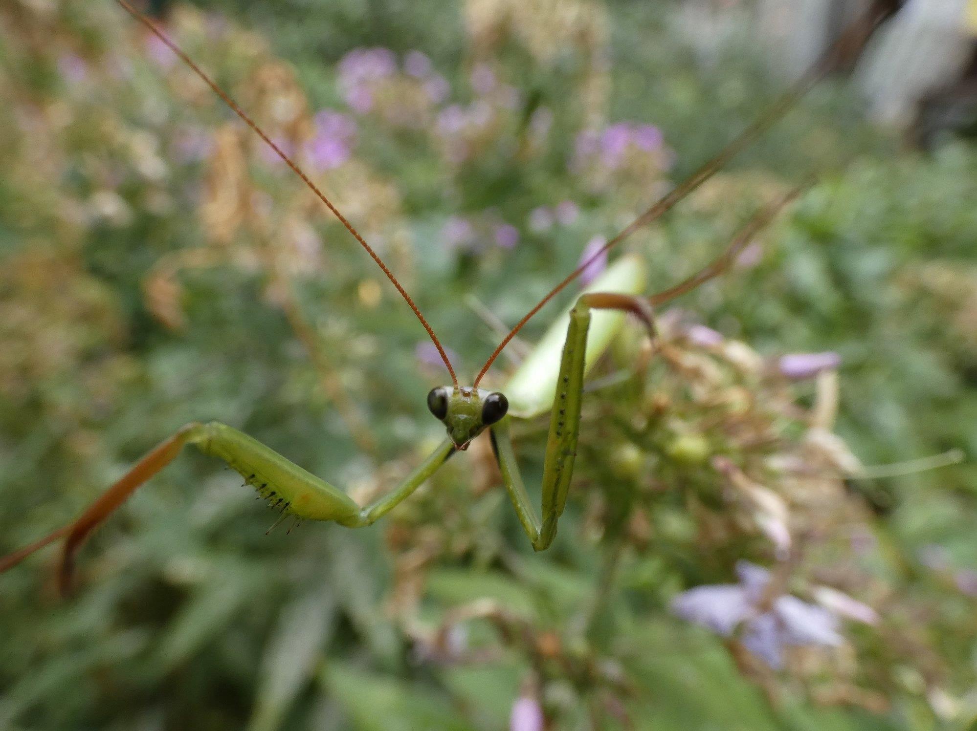 ���������