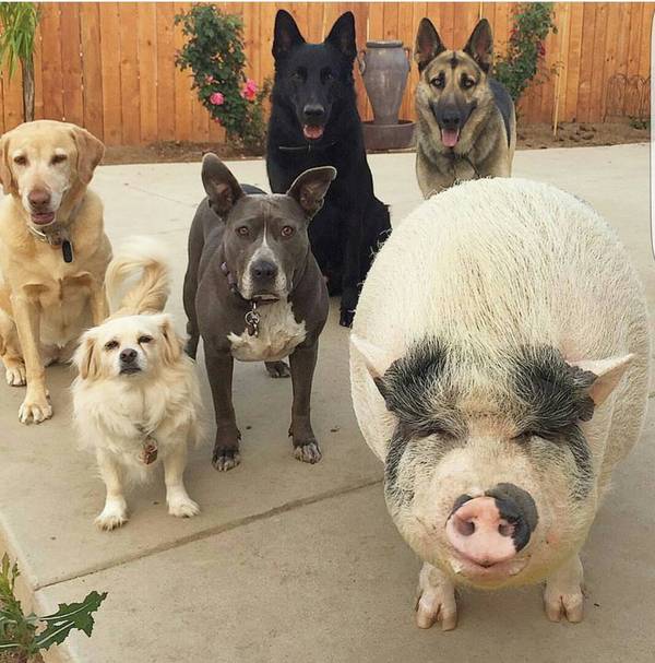 ���������