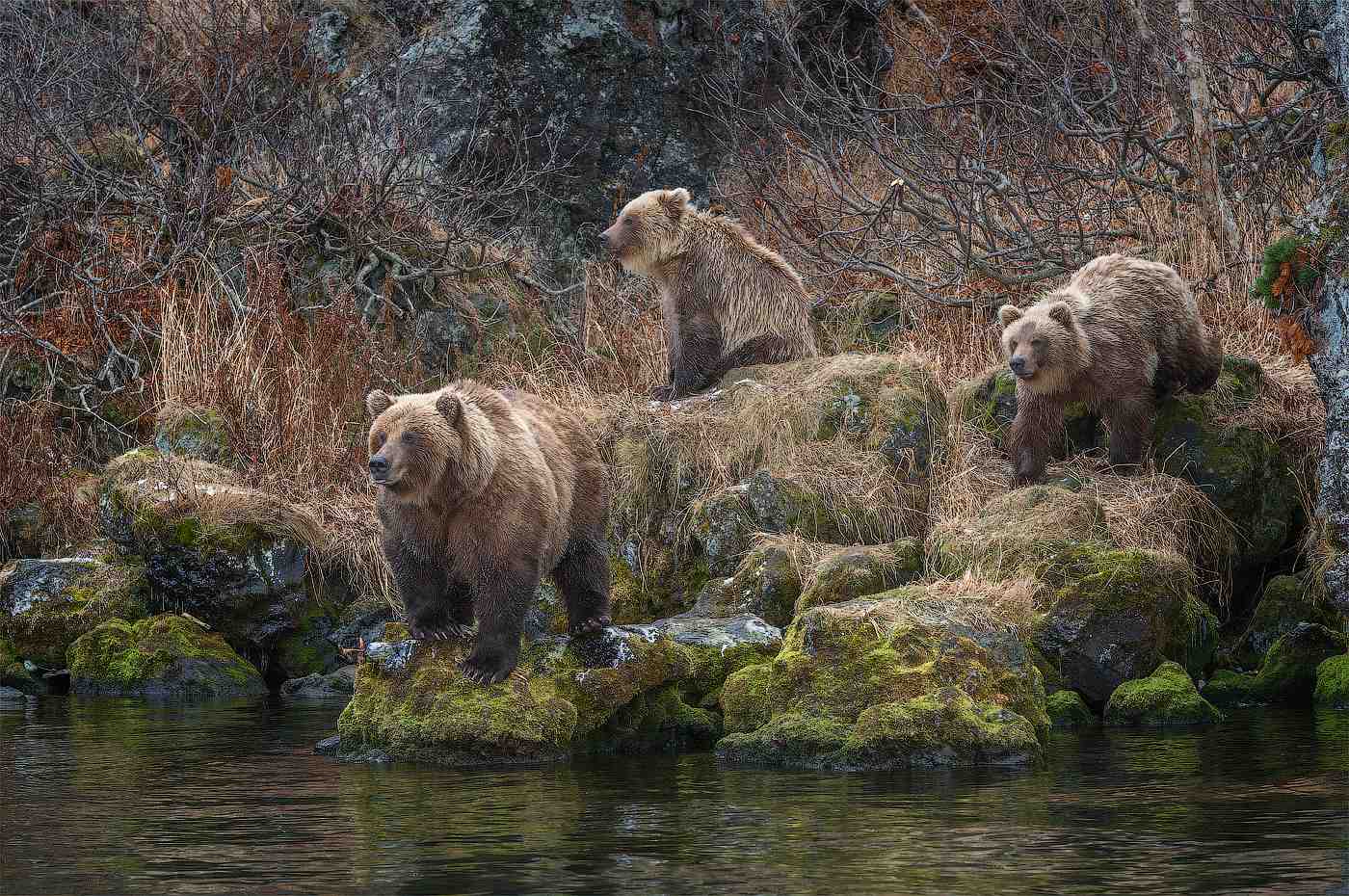 ���������