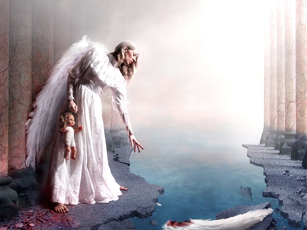 ���������