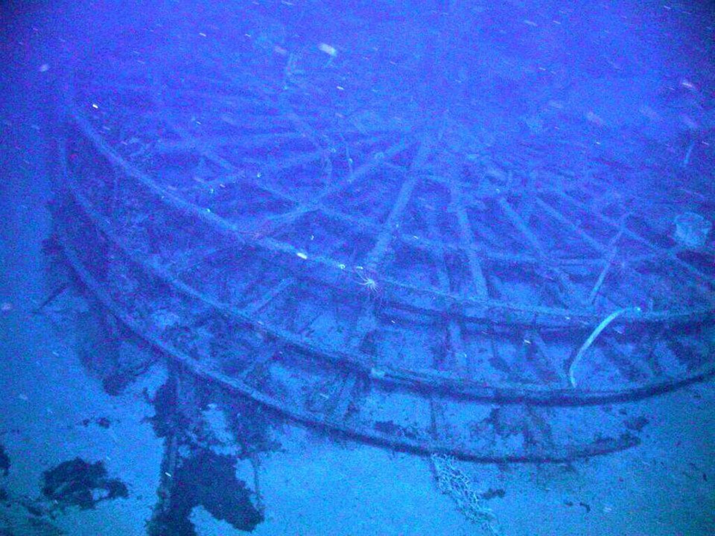 ���������