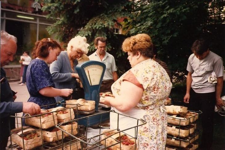 ���������