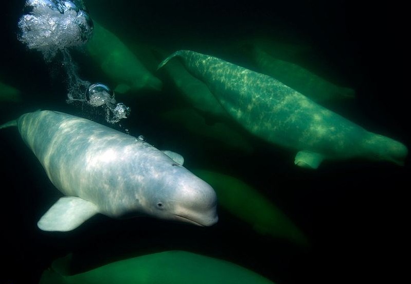 ���������