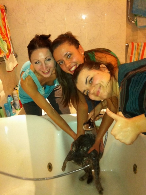 ���������