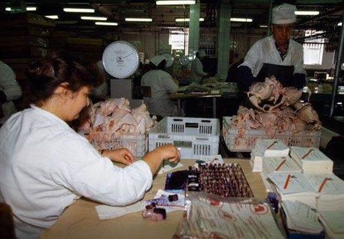 ���������