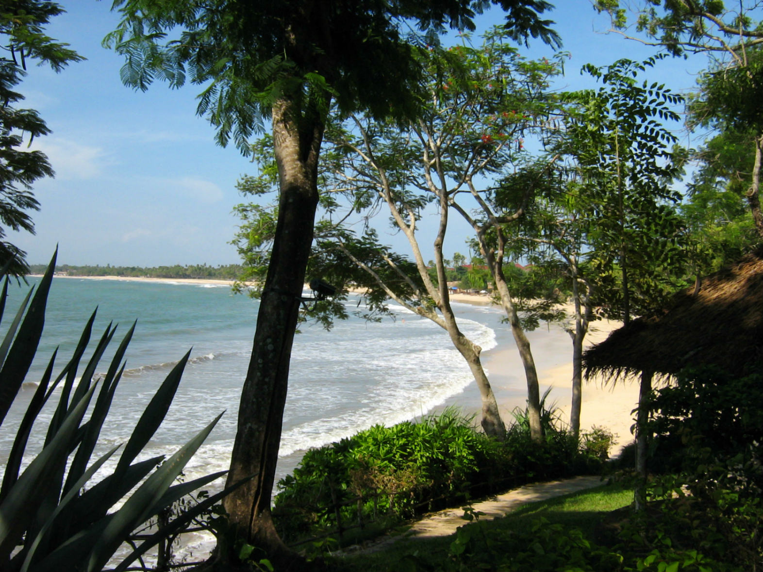 ���������