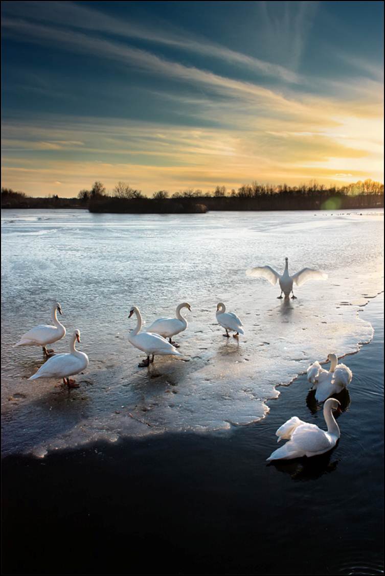 ���������