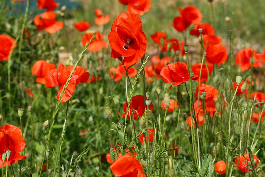 ���������