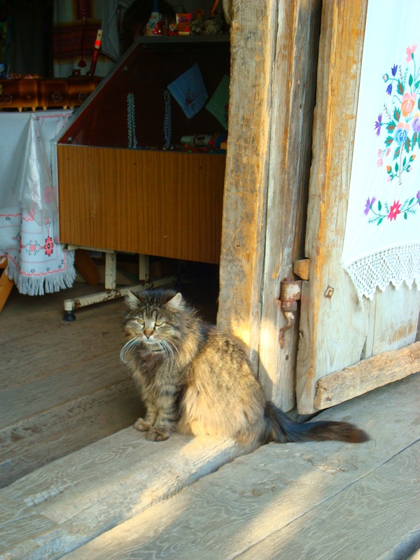 ���������