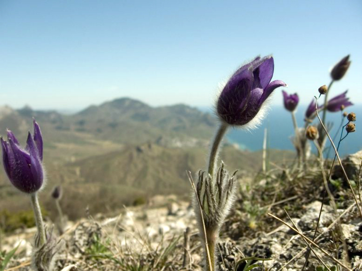 ���������