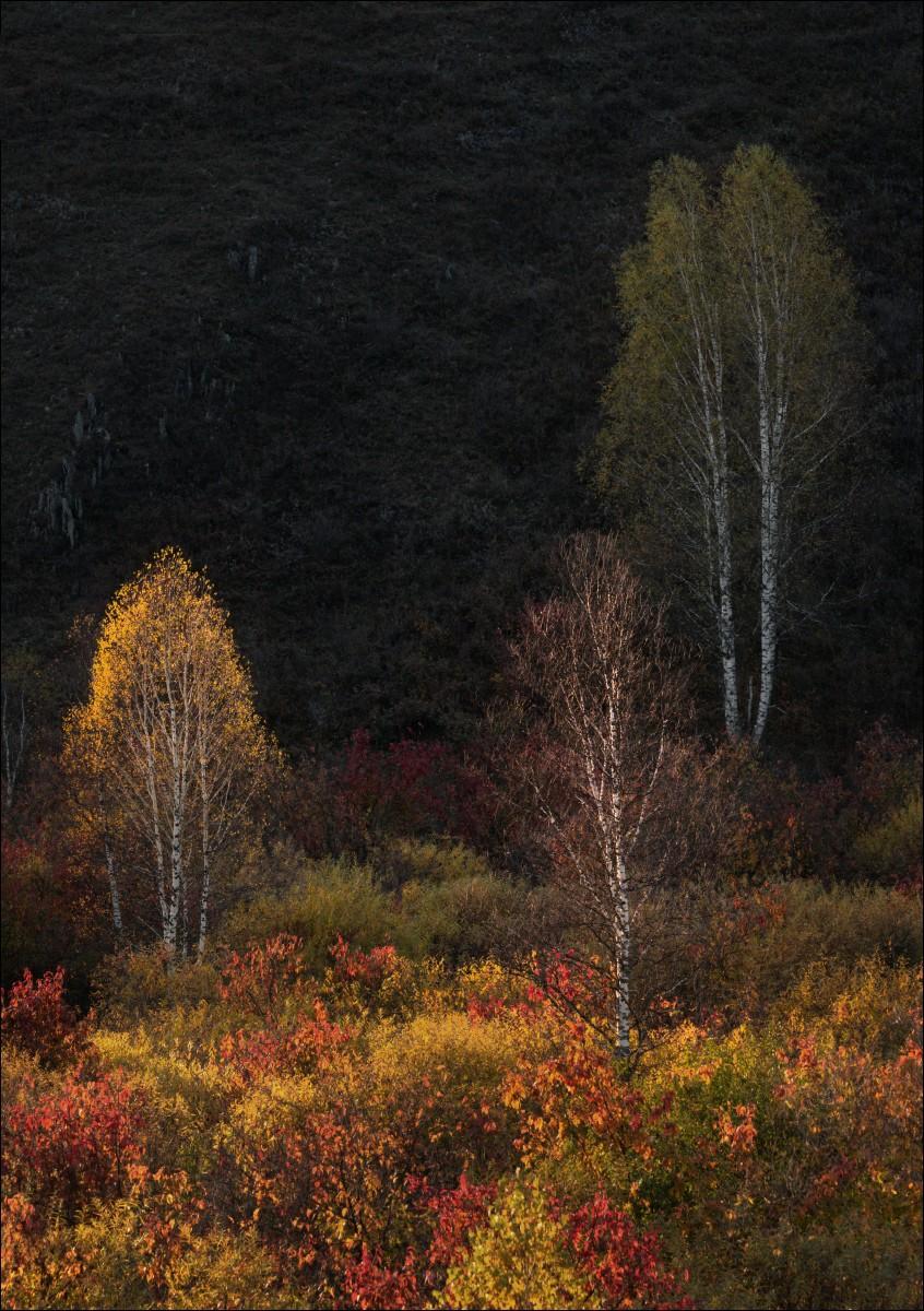 ���������