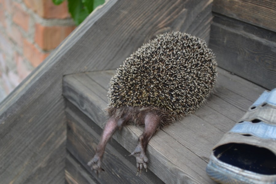 ���������