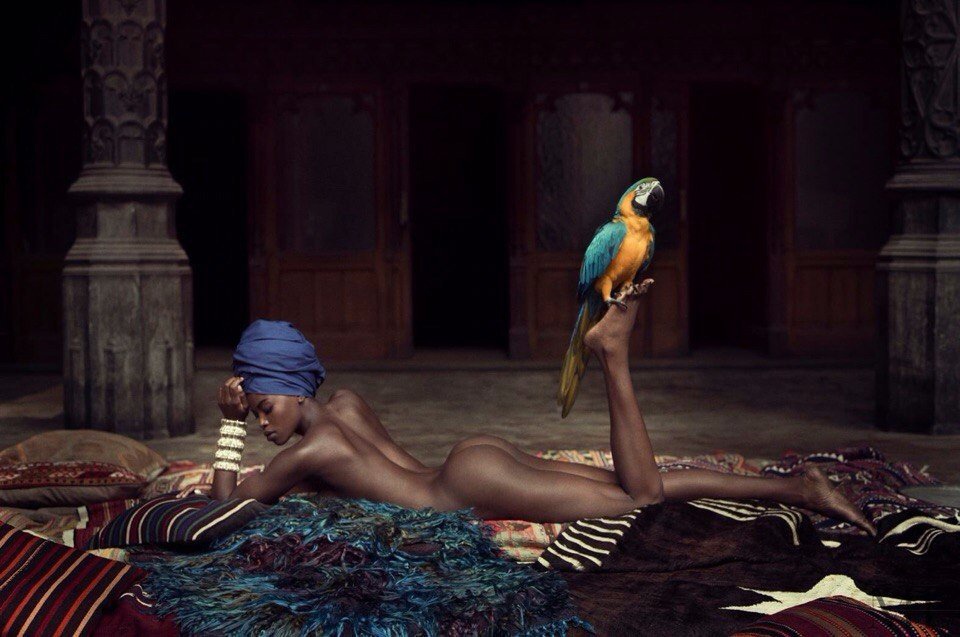 ���������