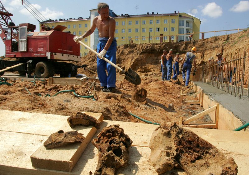 ���������