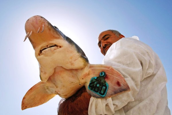 ���������