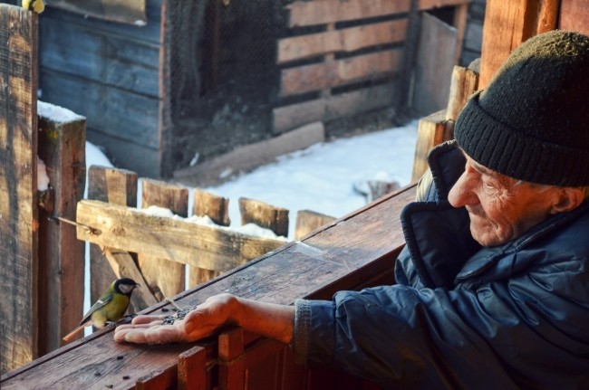 ���������