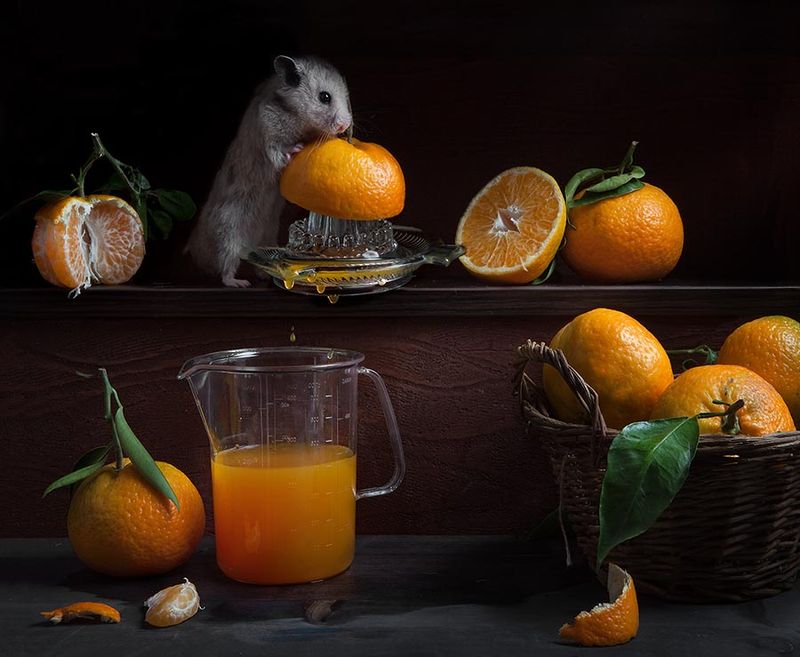 ���������