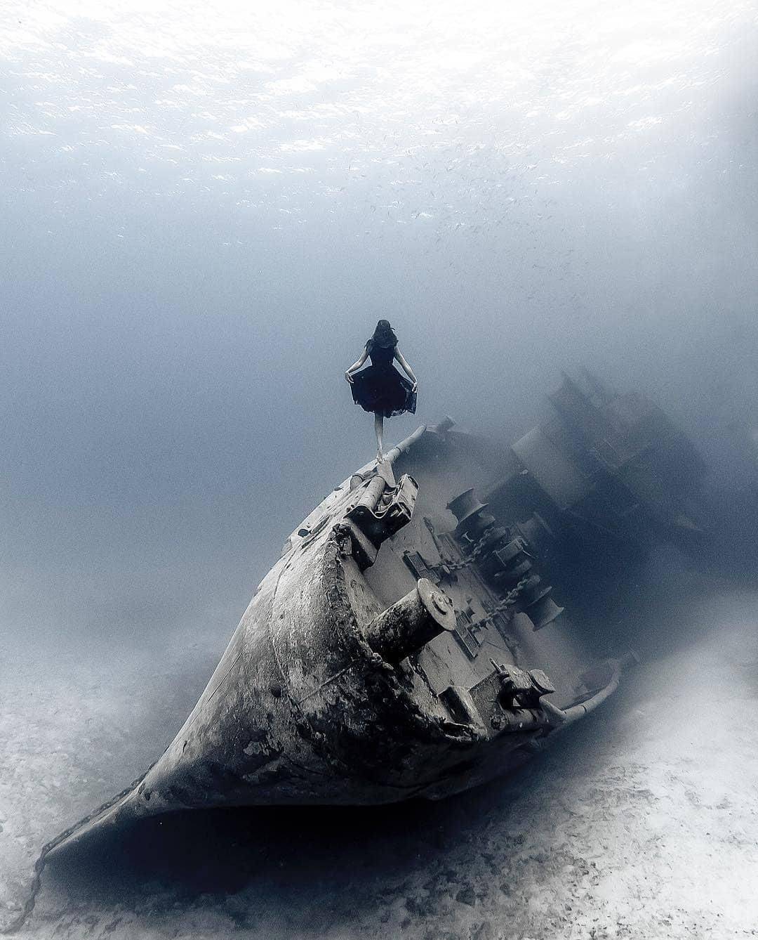 ���������