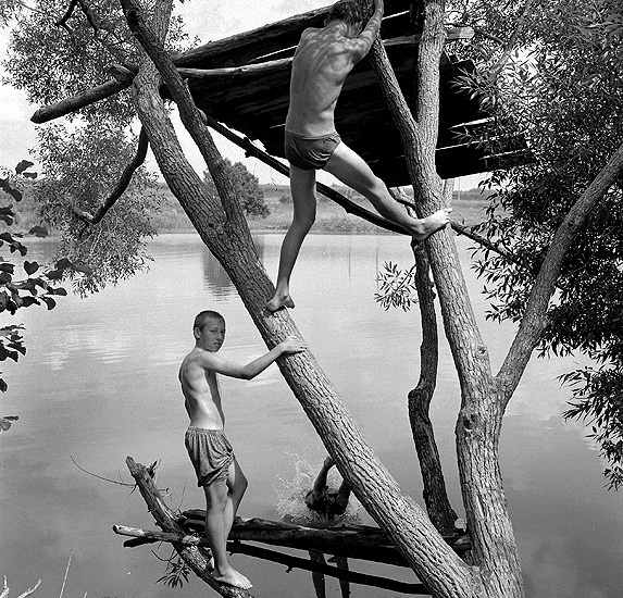 ���������