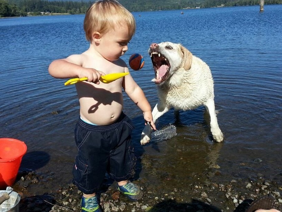 ���������