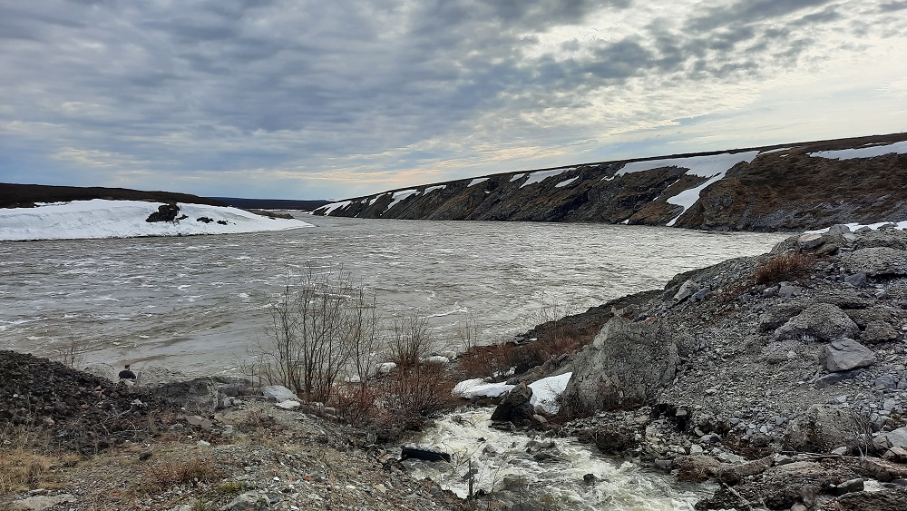 ���������